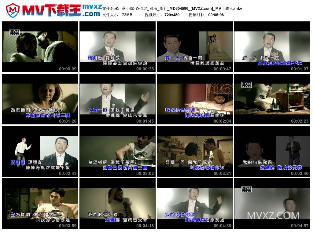 蔡小虎-心借过_闽南_流行_MD304596